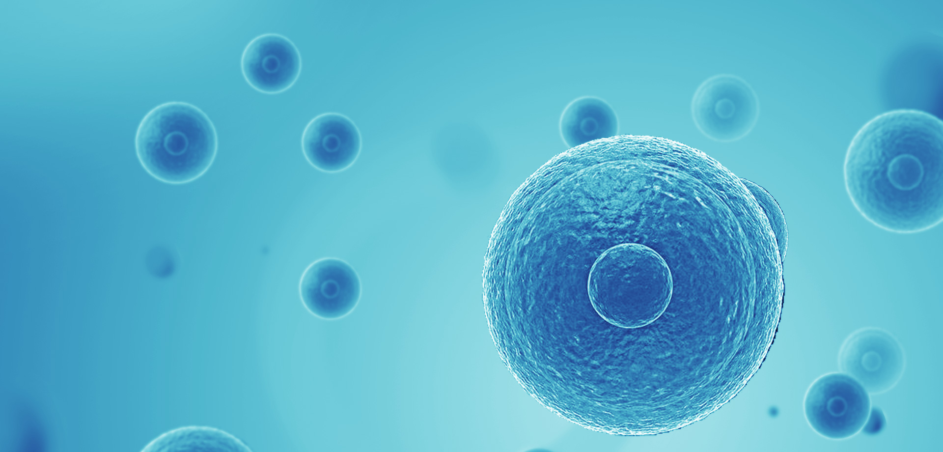 以患者需求為核心，驅(qū)動(dòng)細(xì)胞免疫治療創(chuàng)新，實(shí)現(xiàn)癌癥可控化并最終治愈。