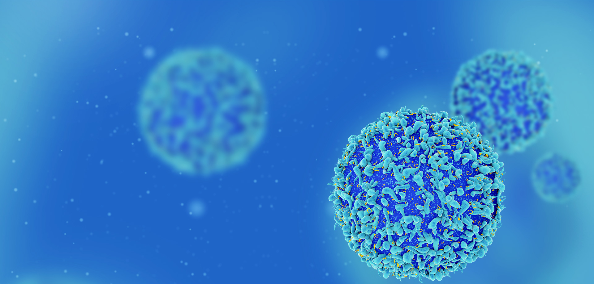 成為全球細(xì)胞免疫治療領(lǐng)域的領(lǐng)導(dǎo)者之一。